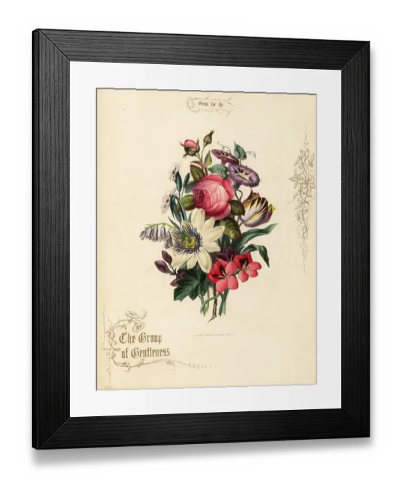 Framed Print : Bouquet of rose, passion flower, tulip, geranium Framed Print : Bouquet of rose, passion flower, tulip, geranium