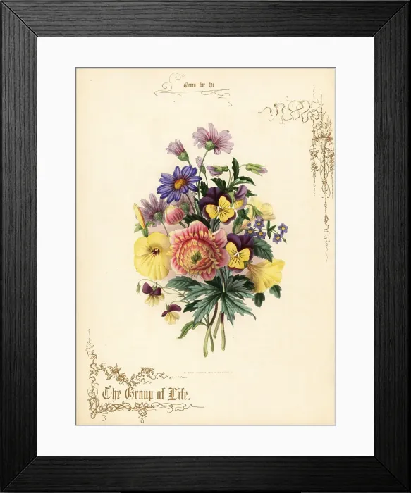 Framed Print : Bouquet of anemone, petunia, heartsease, aster, anagallis Framed Print : Bouquet of anemone, petunia, heartsease, aster, anagallis