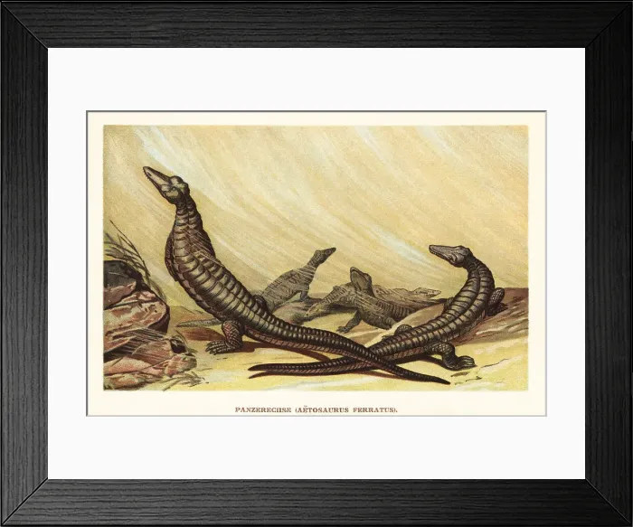 Framed Print : Aetosaurus ferratus, extinct archosaur reptile Framed Print : Aetosaurus ferratus, extinct archosaur reptile