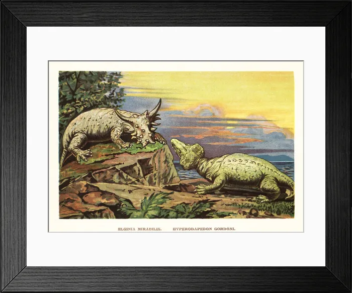 Framed Print : Elginia mirabilis (left), Hyperodapedon gordoni (right) Framed Print : Elginia mirabilis (left), Hyperodapedon gordoni (right)