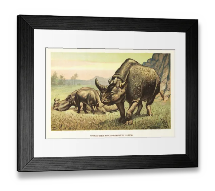 Framed Print : Megacerops, extinct genus of odd-toed ungulates Framed Print : Megacerops, extinct genus of odd-toed ungulates