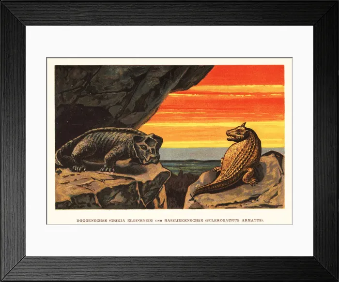 Framed Print : Geikia elginensis and Sclerosaurus armatus Framed Print : Geikia elginensis and Sclerosaurus armatus