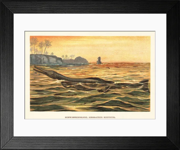 Framed Print : Cricosaurus suevicus, extinct marine crocodyliform Framed Print : Cricosaurus suevicus, extinct marine crocodyliform