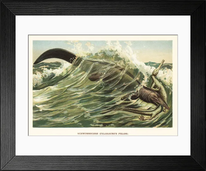 Framed Print : Tylosaurus species hunting a Rhynchocephalia species Framed Print : Tylosaurus species hunting a Rhynchocephalia species