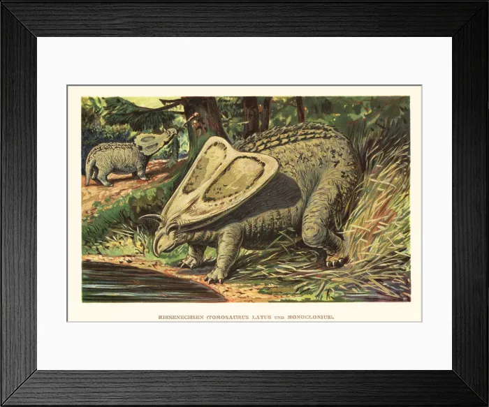 Framed Print : Torosaurus latus and Monoclonius crassus Framed Print : Torosaurus latus and Monoclonius crassus