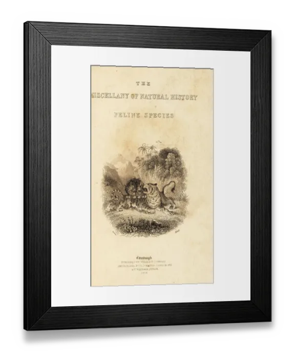 Framed Print : Titlepage with vignette of a lion attacking a tiger Framed Print : Titlepage with vignette of a lion attacking a tiger