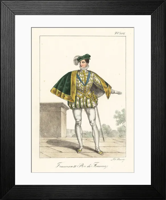Framed Print : Francis II, King of France from 1559 to 1560 Framed Print : Francis II, King of France from 1559 to 1560