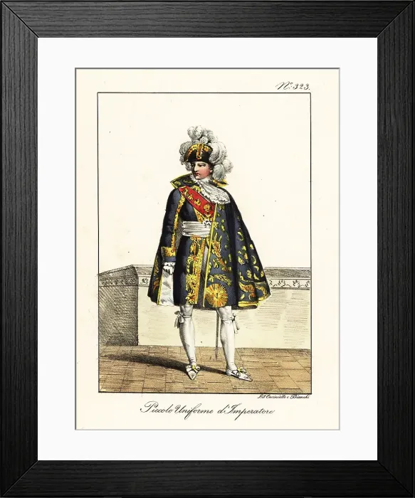 Framed Print : Emperor Napoleon Bonaparte in semi-formal costume, 1804 Framed Print : Emperor Napoleon Bonaparte in semi-formal costume, 1804