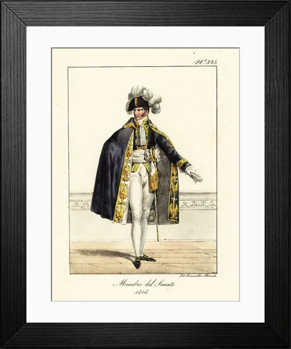 Framed Print : Ceremonial robes of a member of the Senate, Napoleonic era, Firs Framed Print : Ceremonial robes of a member of the Senate, Napoleonic era, Firs