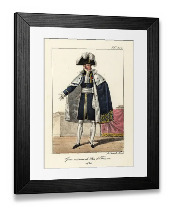 Framed Print : Member of the Chamber of Peers of France, 1820 Framed Print : Member of the Chamber of Peers of France, 1820