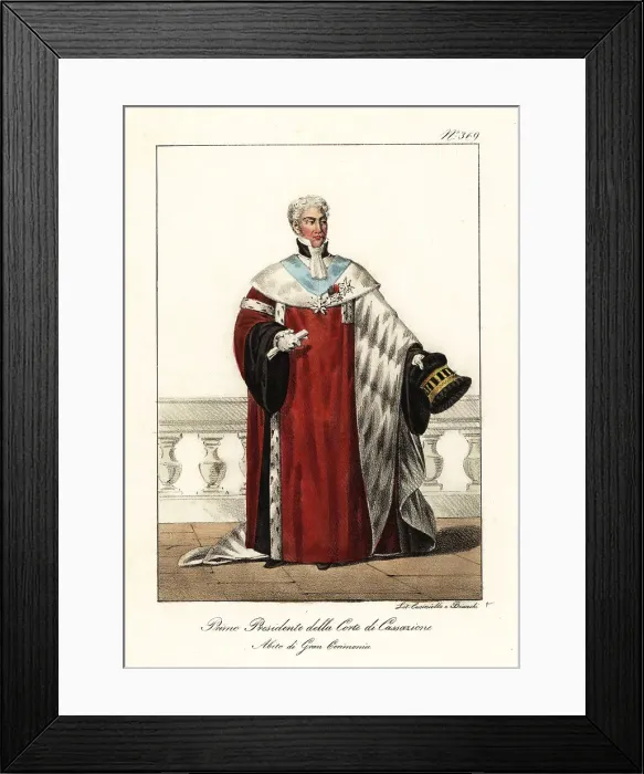 Framed Print : First President of the French Court of Cassation Framed Print : First President of the French Court of Cassation