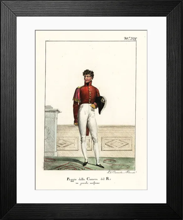 Framed Print : Page of the French Royal Bedchamber to King Louis XVIII Framed Print : Page of the French Royal Bedchamber to King Louis XVIII