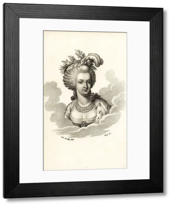 Framed Print : Portrait of Marie Antoinette with pearl necklace, ermine cape Framed Print : Portrait of Marie Antoinette with pearl necklace, ermine cape