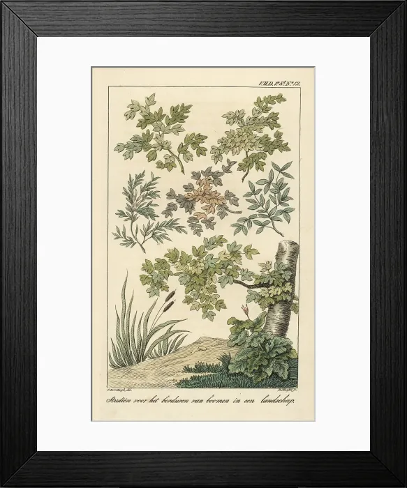 Framed Print : Pattern for embroidery of flowers in a landscape Framed Print : Pattern for embroidery of flowers in a landscape