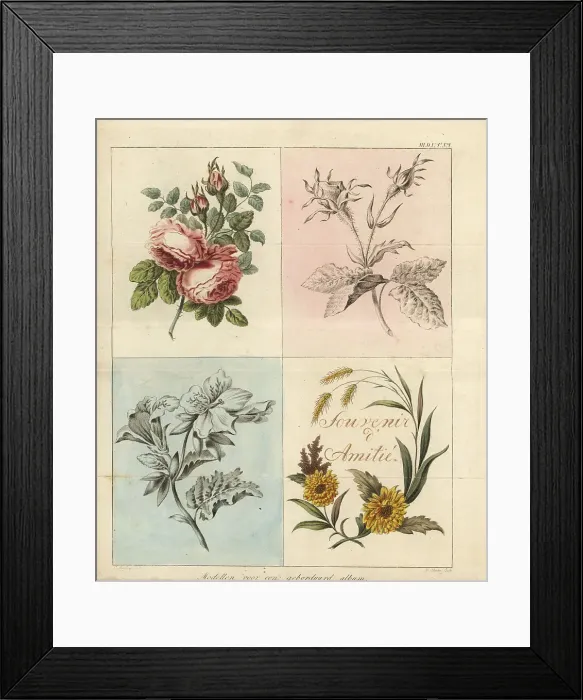 Framed Print : Models for an embroidery album Framed Print : Models for an embroidery album