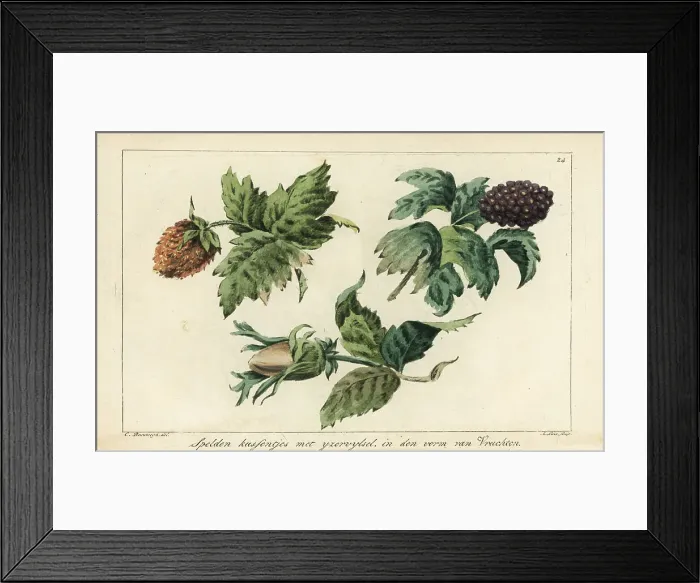 Framed Print : Embroidery patterns for fruits, berries and acorns Framed Print : Embroidery patterns for fruits, berries and acorns