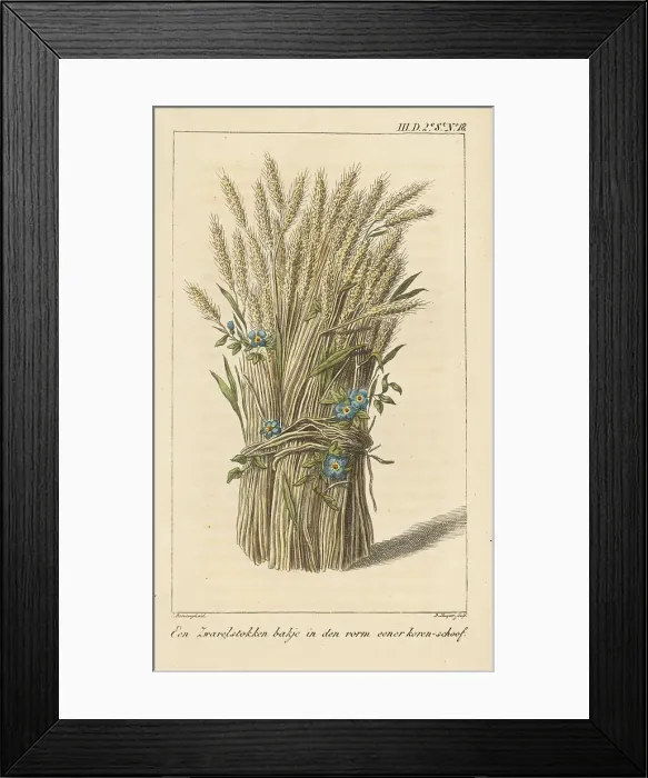 Framed Print : Bowl in the shape of a corn-sheaf Framed Print : Bowl in the shape of a corn-sheaf