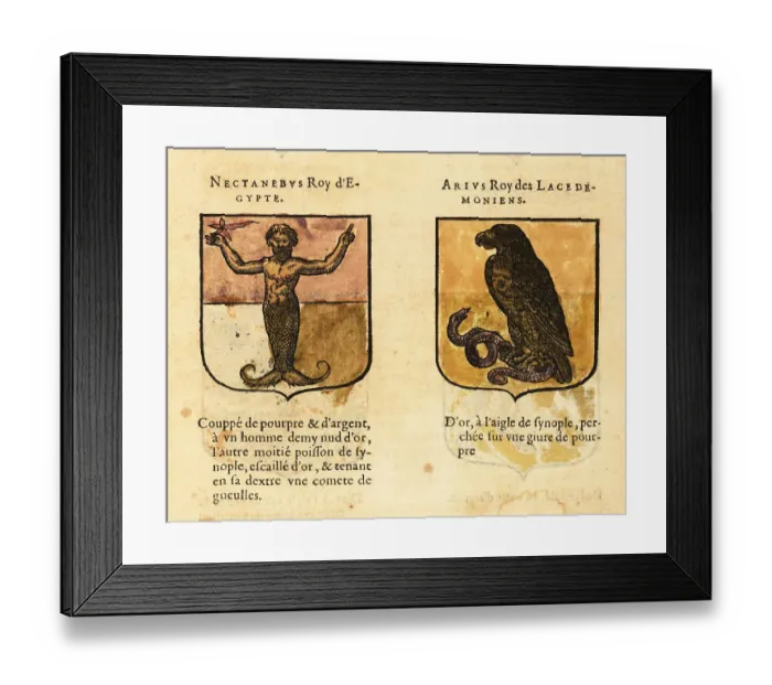 Framed Print : Coat of arms of Nectanebo I, Egyptian pharaoh, and Areus, King o Framed Print : Coat of arms of Nectanebo I, Egyptian pharaoh, and Areus, King o