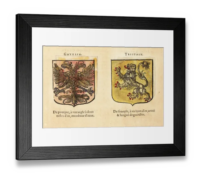 Framed Print : Imaginary coats of arms of two Knights of the Round Table: Gawai Framed Print : Imaginary coats of arms of two Knights of the Round Table: Gawai