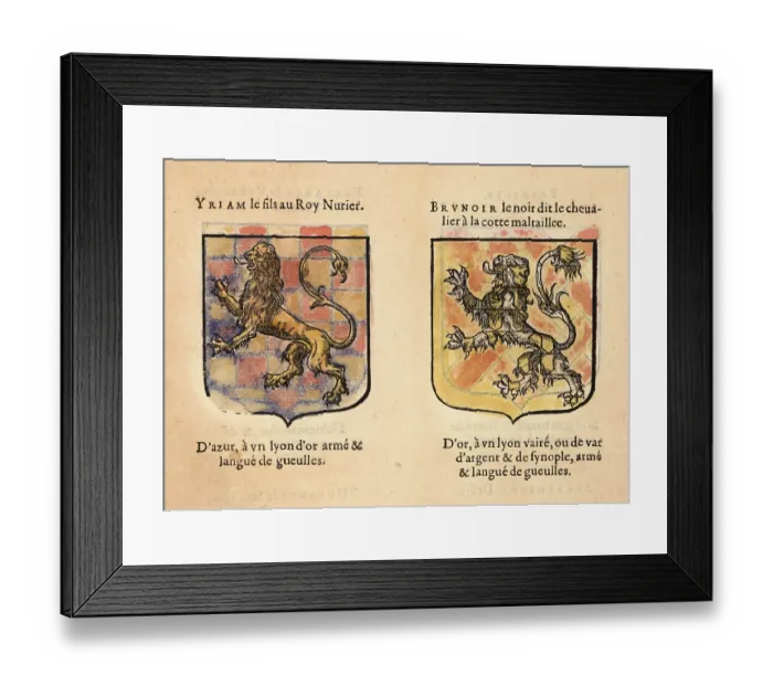 Framed Print : Imaginary coats of arms of Sir Ywain and Brunor le Noir Framed Print : Imaginary coats of arms of Sir Ywain and Brunor le Noir