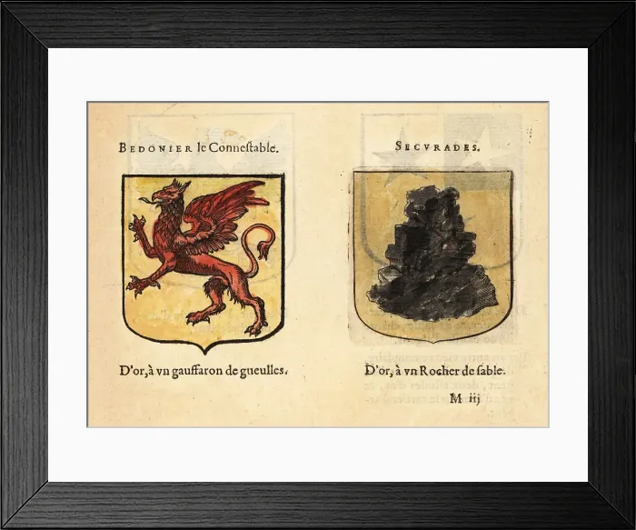 Framed Print : Imaginary coats of arms of Knights of the Round Table: Bedonier Framed Print : Imaginary coats of arms of Knights of the Round Table: Bedonier
