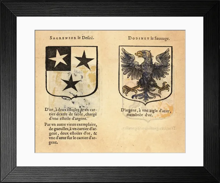 Framed Print : Imaginary coats of arms of Sir Sagramore the Hothead and Sir Dod Framed Print : Imaginary coats of arms of Sir Sagramore the Hothead and Sir Dod