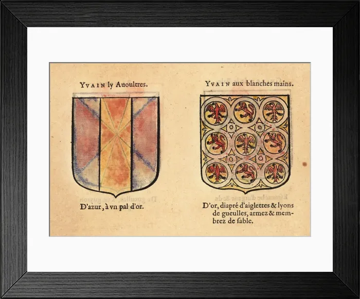 Framed Print : Imaginary coats of arms of Yvain the Bastard and Ywain with Framed Print : Imaginary coats of arms of Yvain the Bastard and Ywain with