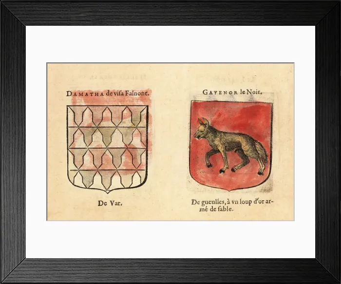 Framed Print : Coats of arms of Knights of the Round Table: Damatha de Visafalv Framed Print : Coats of arms of Knights of the Round Table: Damatha de Visafalv