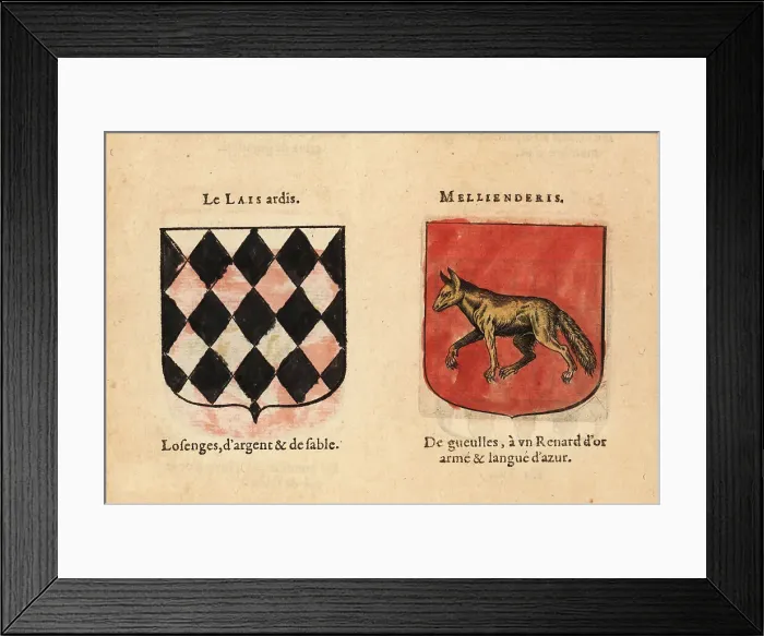 Framed Print : Imaginary coats of arms of Knights of the Round Table: Le Laid H Framed Print : Imaginary coats of arms of Knights of the Round Table: Le Laid H