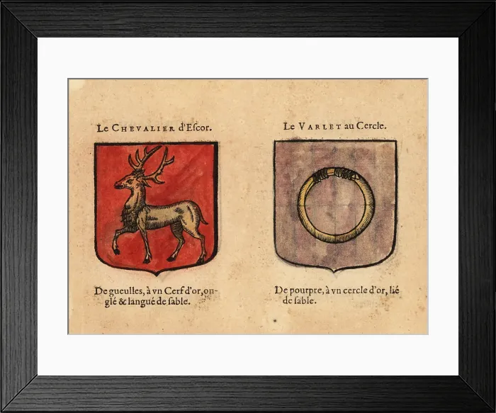 Framed Print : Imaginary coats of arms of the Good Knight Descor and the Varlet Framed Print : Imaginary coats of arms of the Good Knight Descor and the Varlet