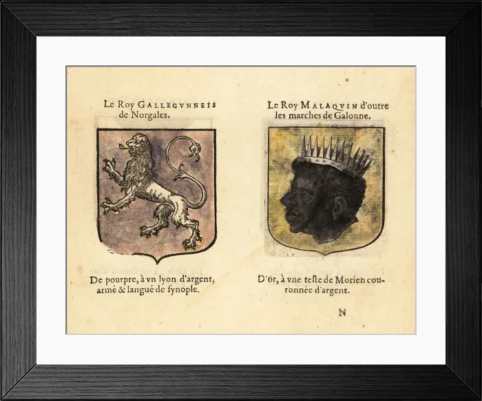 Framed Print : Imaginary coats of arms of King Galegantis of Norway and King Ma Framed Print : Imaginary coats of arms of King Galegantis of Norway and King Ma