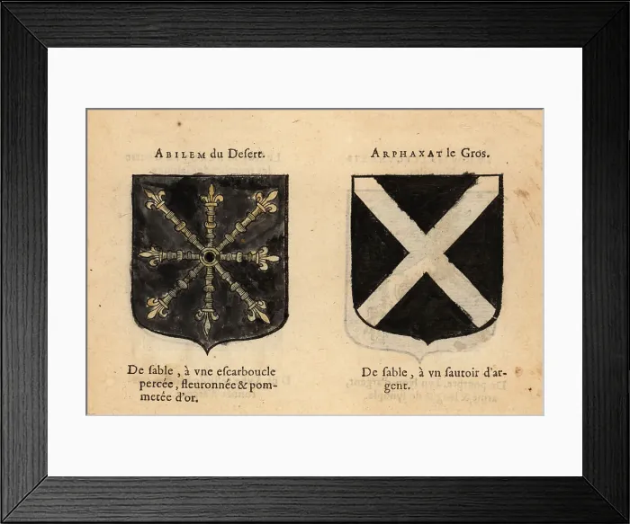 Framed Print : Imaginary coats of arms of Abilan of the Desert and Arphaxad Framed Print : Imaginary coats of arms of Abilan of the Desert and Arphaxad