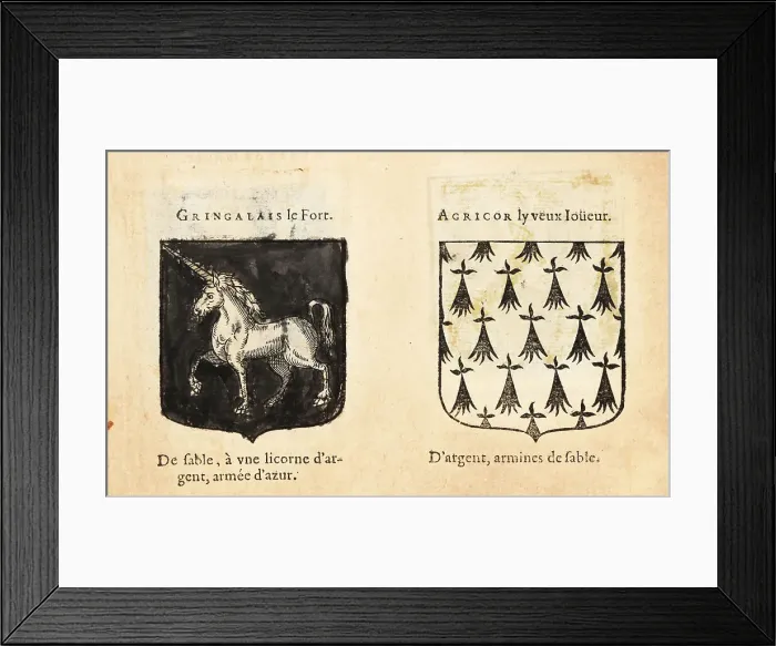 Framed Print : Imaginary coats of arms of Sir Gingalain and Agrior the Old Game Framed Print : Imaginary coats of arms of Sir Gingalain and Agrior the Old Game