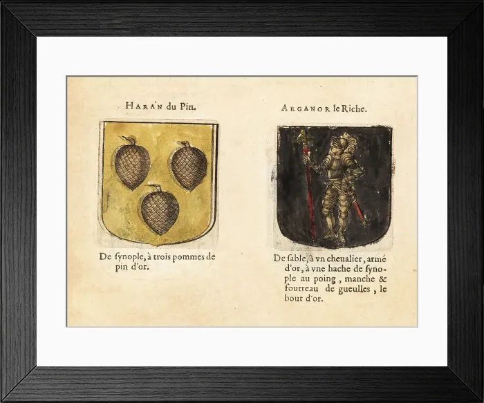 Framed Print : Imaginary coats of arms of Knights of the Round Table: Haran of Framed Print : Imaginary coats of arms of Knights of the Round Table: Haran of