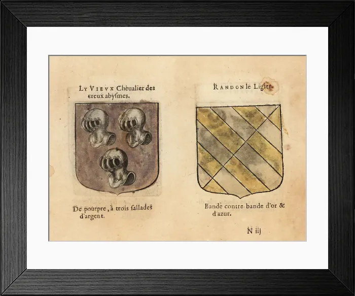Framed Print : Imaginary coats of arms of Ancient Knight of the hollow deeps an Framed Print : Imaginary coats of arms of Ancient Knight of the hollow deeps an