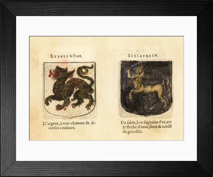 Framed Print : Imaginary coats of arms of Lydeux the Strong and Sacanarbin Framed Print : Imaginary coats of arms of Lydeux the Strong and Sacanarbin