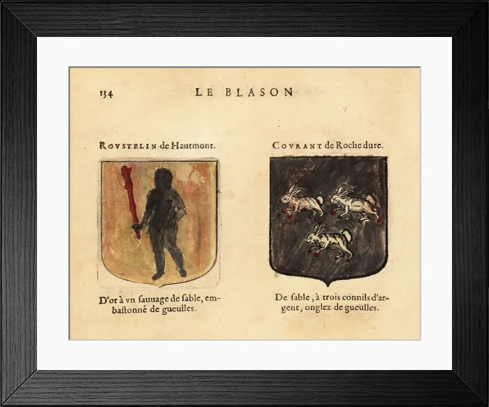 Framed Print : Imaginary coats of arms of Rousteline of the High Mountain and C Framed Print : Imaginary coats of arms of Rousteline of the High Mountain and C