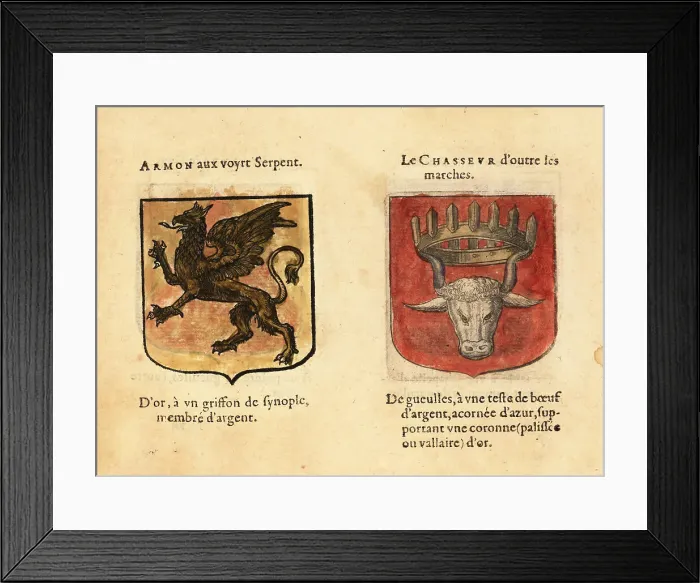 Framed Print : Imaginary coats of arms of Armont of the Green Serpent and the H Framed Print : Imaginary coats of arms of Armont of the Green Serpent and the H
