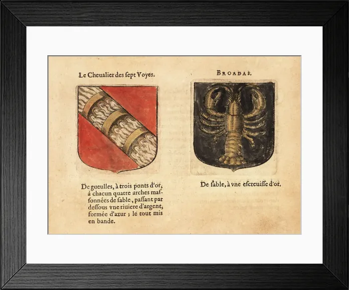 Framed Print : Imaginary coats of arms of the Knight of the Seven Ways and Broa Framed Print : Imaginary coats of arms of the Knight of the Seven Ways and Broa
