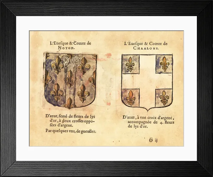 Framed Print : Coats of arms of the Bishop-Counts of Noyon and of Chalons Framed Print : Coats of arms of the Bishop-Counts of Noyon and of Chalons
