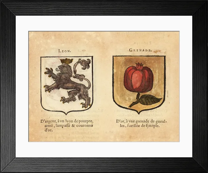 Framed Print : Coats of arms of the Kingdoms of Lyons and Granada Framed Print : Coats of arms of the Kingdoms of Lyons and Granada