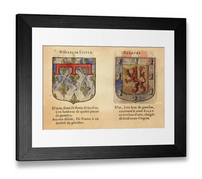 Framed Print : Coats of arms of the Kingdoms of Naples and Cordoba Framed Print : Coats of arms of the Kingdoms of Naples and Cordoba