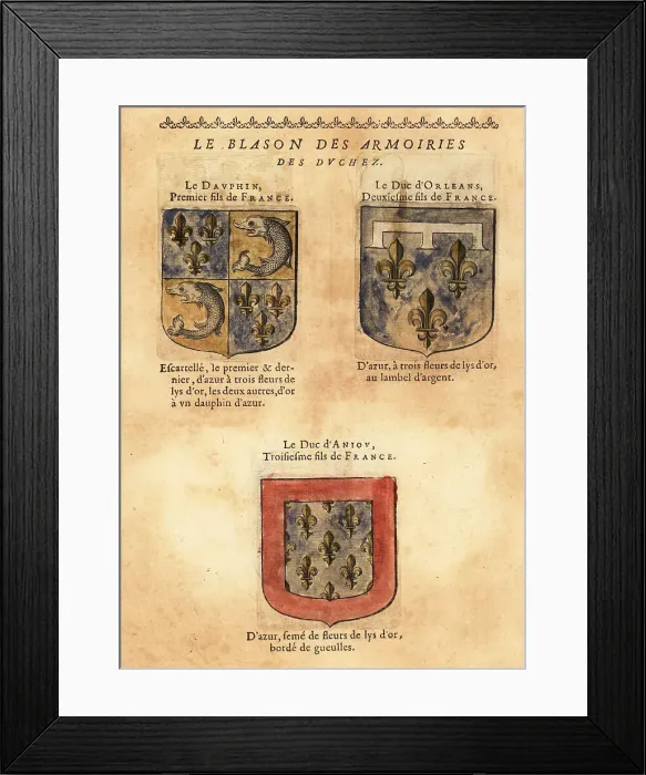 Framed Print : Coats of arms of the Dauphin, Duke of Orleans and Duke of Anjou Framed Print : Coats of arms of the Dauphin, Duke of Orleans and Duke of Anjou