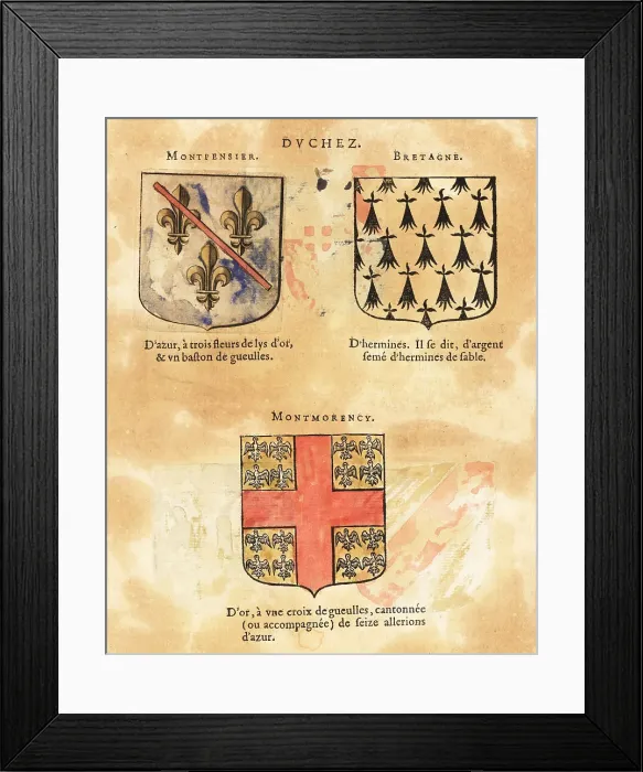 Framed Print : Coat of arms of the Duchy of Montpensier, Brittany and Montmoren Framed Print : Coat of arms of the Duchy of Montpensier, Brittany and Montmoren