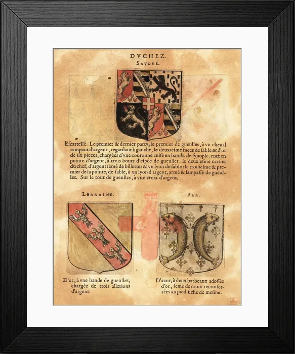 Framed Print : Coat of arms of the Duchy of Savoy with quartered arms with horses and lions Framed Print : Coat of arms of the Duchy of Savoy with quartered arms with horses and lions