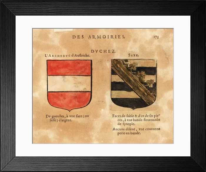 Framed Print : Coat of arms of the Duchies of Austria and Saxe Framed Print : Coat of arms of the Duchies of Austria and Saxe