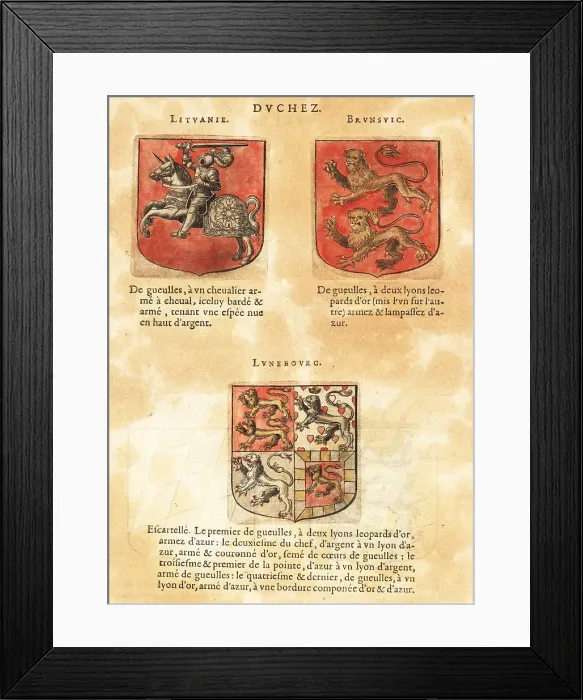 Framed Print : Coat of arms of the Duchy of Lithuania, Brunswick and Lunenberg Framed Print : Coat of arms of the Duchy of Lithuania, Brunswick and Lunenberg