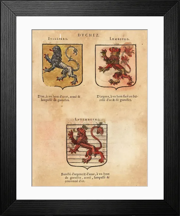 Framed Print : Coat of arms of the Duchy of Ivilliers, Lembourg and Luxemburg Framed Print : Coat of arms of the Duchy of Ivilliers, Lembourg and Luxemburg