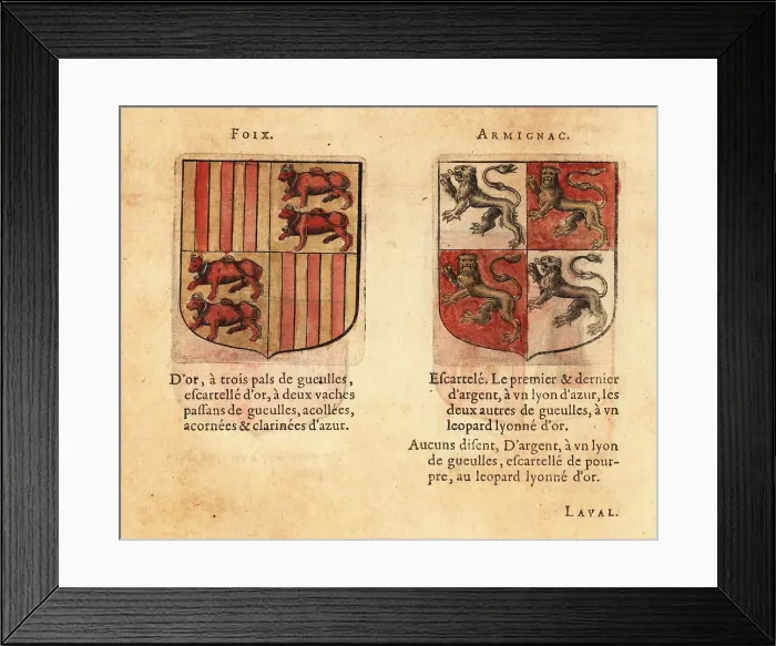 Framed Print : Coats of arms of the Counts of Foix and Armagnac Framed Print : Coats of arms of the Counts of Foix and Armagnac