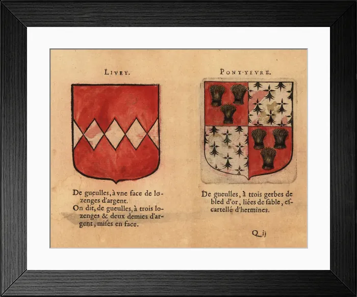 Framed Print : Coat of arms of the Counts of Livey and Pont-Yevre Framed Print : Coat of arms of the Counts of Livey and Pont-Yevre